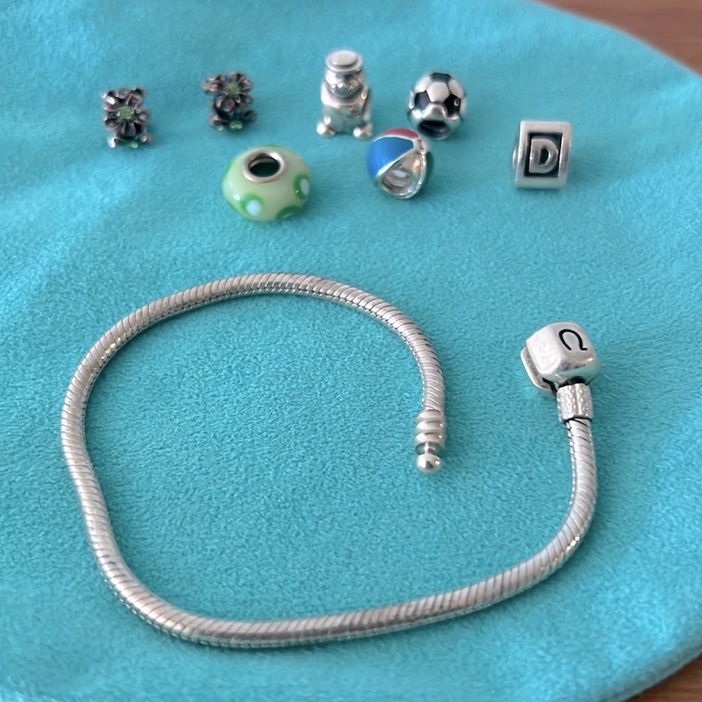 A Pandora Bundle!  A plain sterling silver Pandora bracelet with eight charms.
